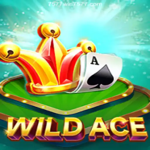 WildAce: A Thrilling Adventure in Gaming Entertainment